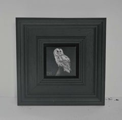 Tawny Owl Pocket Painting 243 & Robin Redbreast Pocket Painting 246, diptych