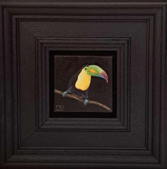 Toucan Jungling Collection Pocke, quadro originale, pittura ad olio, natura morta, nature morte