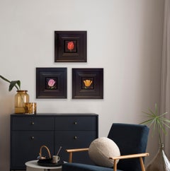 Triptychon aus gestreifter Bellona-Blume in Tasche, Veronique- Tulpe und Upstar- Tulpe, Triptychon