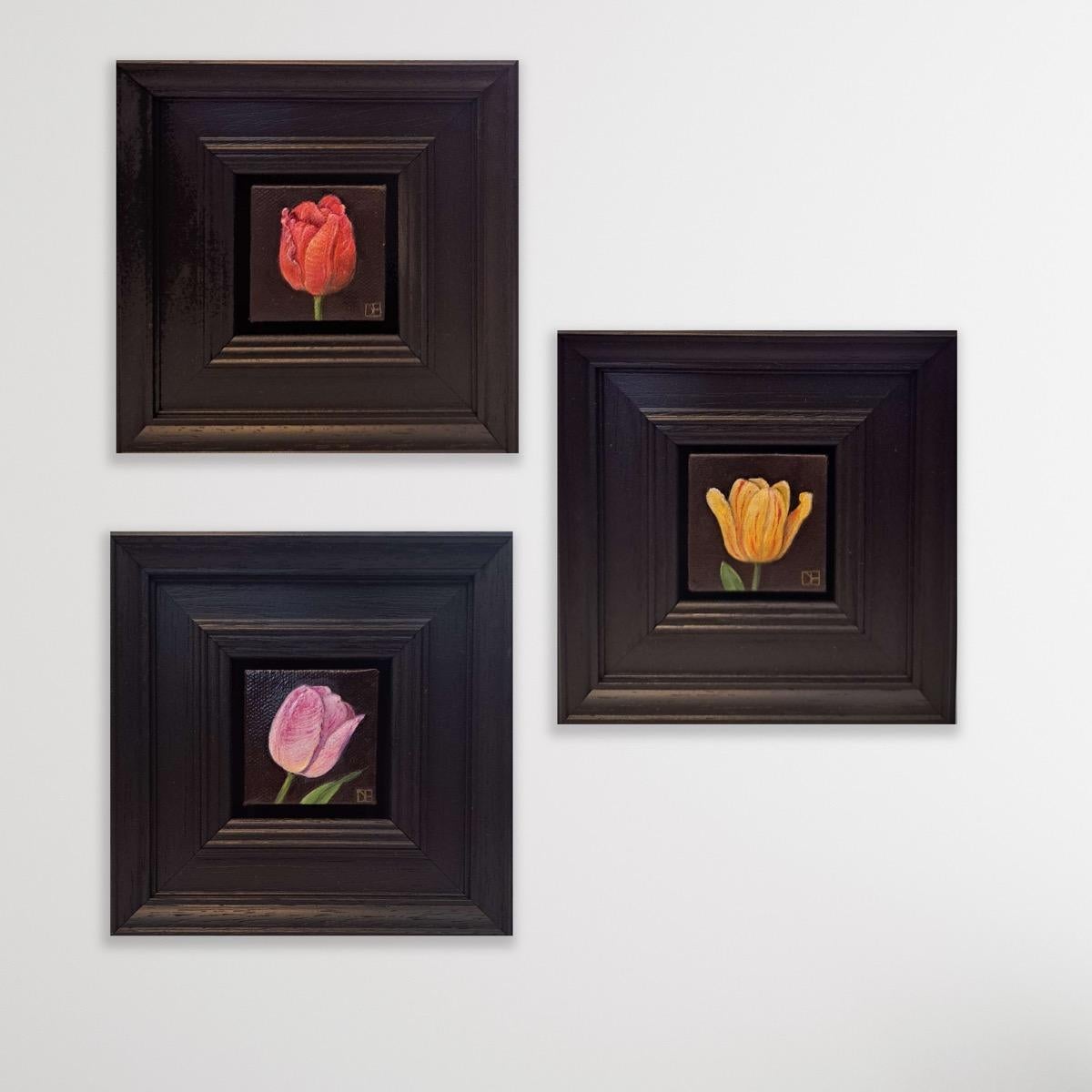Dani Humberstone Still-Life Painting - Triptych of Pocket Striped Bellona Tulip, Veronique Tulip and Upstar Tulip
