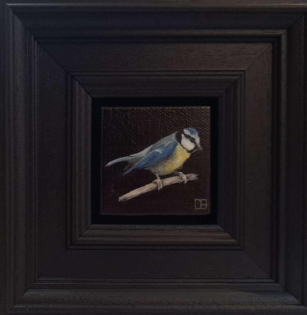 Collection'S: Bluetit tascabile, Pittura originale, Arte animale - Painting Realismo di Dani Humberstone