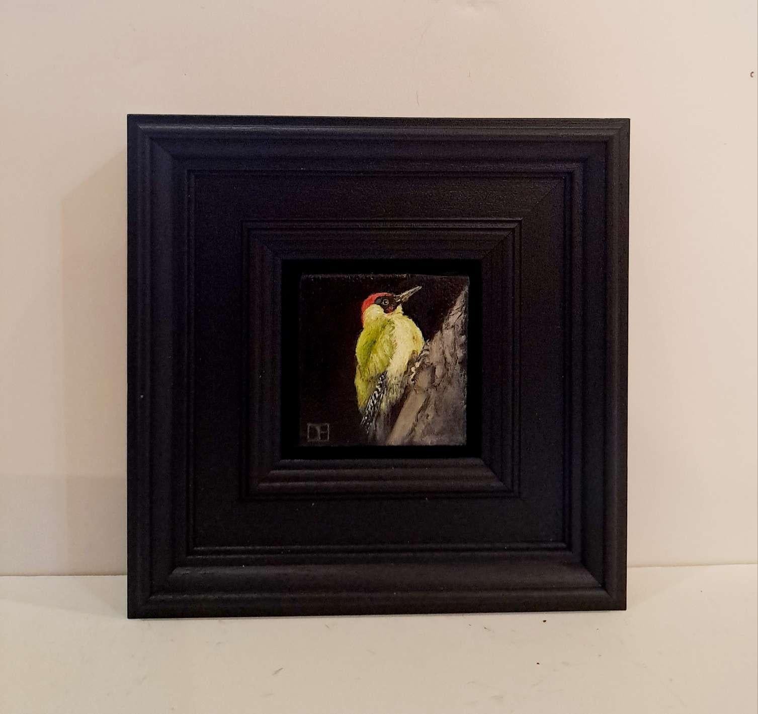 Wildlife Collection: Pocket Green Woodpecker is an original oil painting by Dani Humberstone as part of her Pocket Painting series featuring small scale realistic oil paintings, with a nod to baroque still life painting. The paintings are set in a
