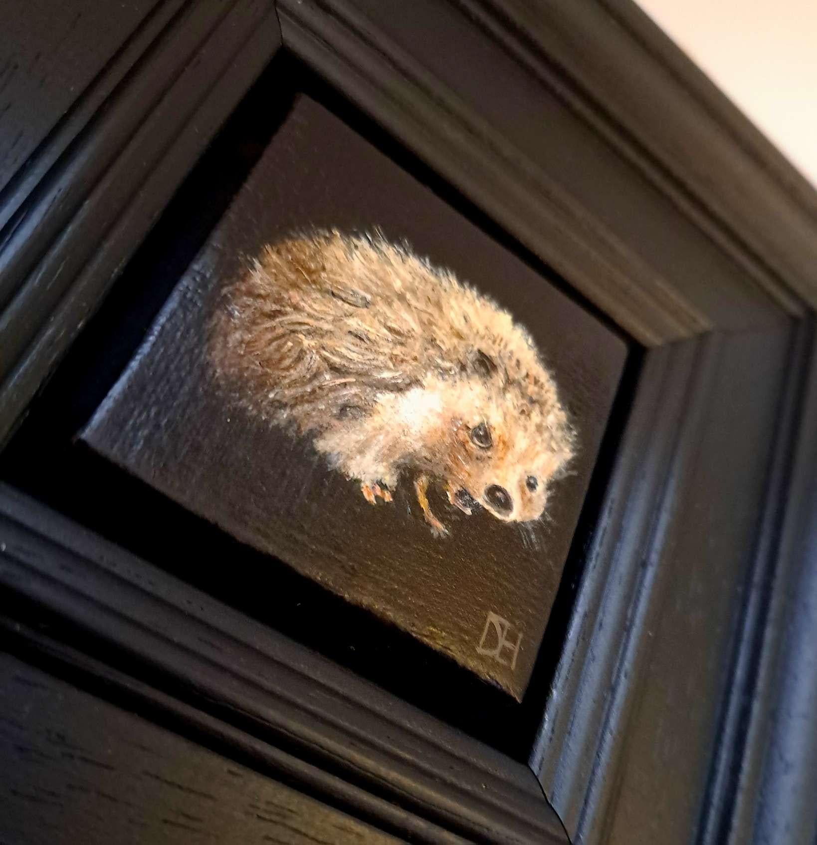 Collection'S: Riccio tascabile, Pittura originale, Arte Animale - Painting Realismo di Dani Humberstone