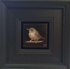 Collection'S: Scricciolo tascabile, Pittura originale, Arte animale