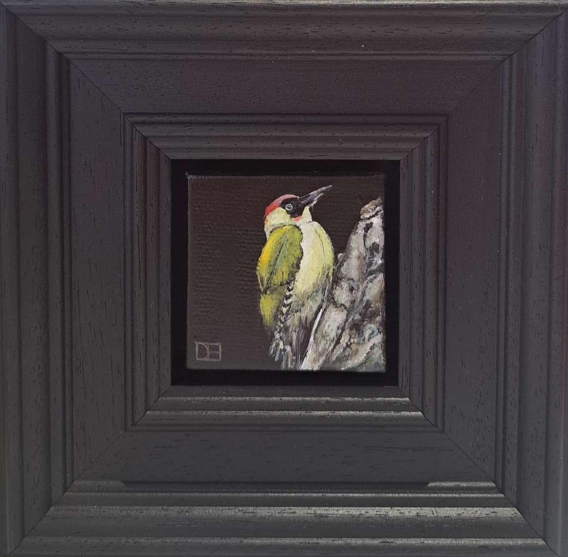 Pocket Green Woodpecker (taille de la toile 5x5cm) est une peinture à l'huile originale de Dani Humberstone qui fait partie de sa série Pocket Painting comprenant des peintures à l'huile réalistes à petite échelle, avec un clin d'œil aux natures