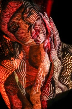 Nude Photography