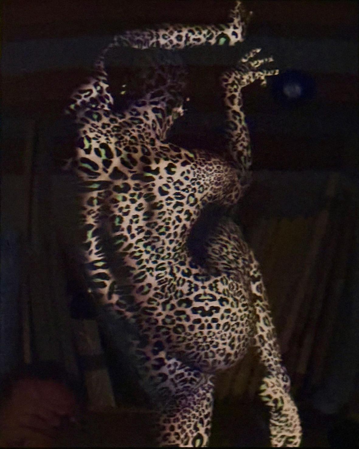 Dani Olivier Nude Photograph - Crimson