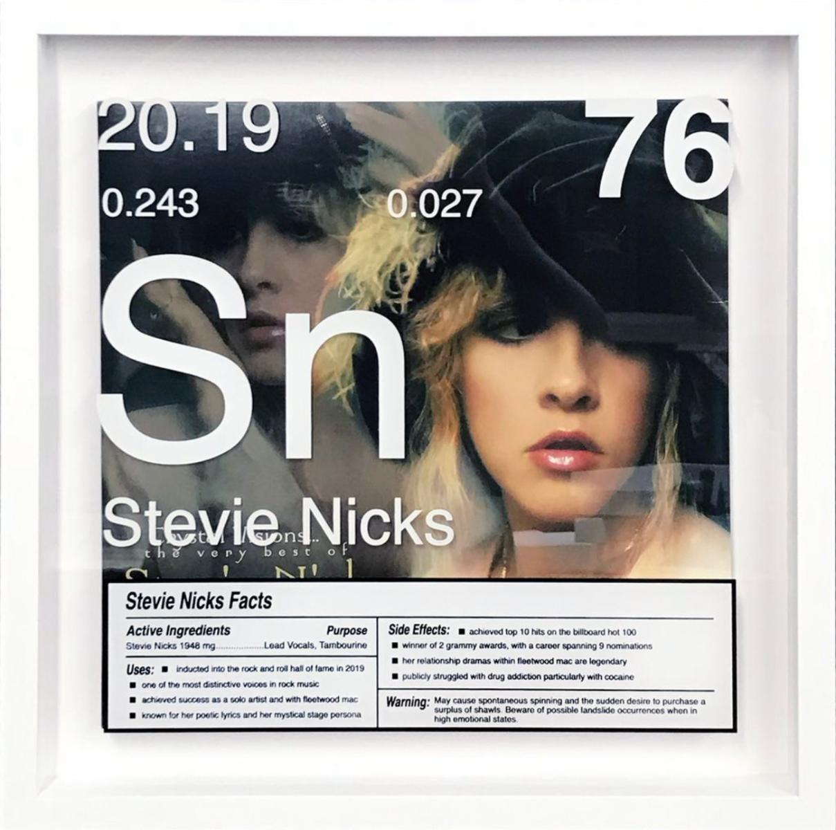 Stevie Nicks _76 Limited edition 1/9

Daniel Allen Cohen, a Los Angeles-based artist renowned for his multidisciplinary approach, transforms popular culture into conceptual art. His creations are nuanced reflections of societal values, desires,