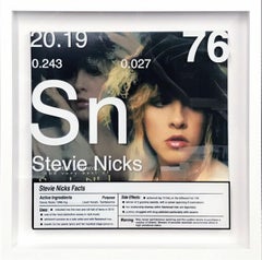 Stevie Nicks / Periodic Table of Elelments Rock Records / Daniel Allen Cohen