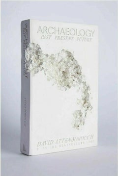 Fictional Nonfiction: Archaeology 3019, Daniel Arsham, Plaster, Crushed glass