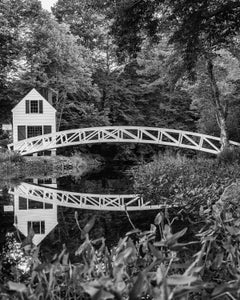 Somesville Gardens, photographie, jet d'encre d'archives