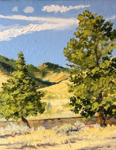 Two Trees - Above John G. Mine Road