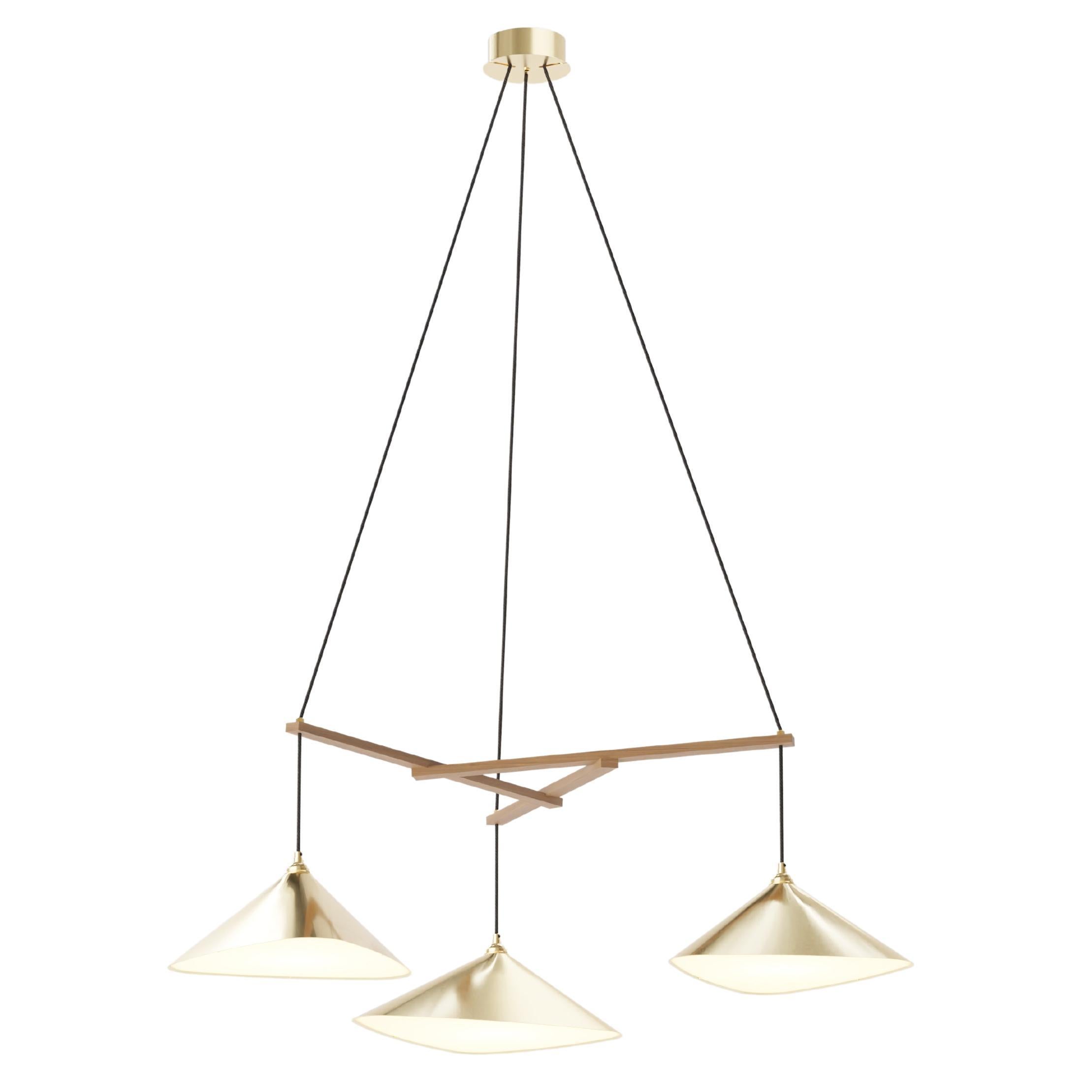 Daniel Becker 'Emily 3' Chandelier in Brass with Black Frame for Moss Objects For Sale 1