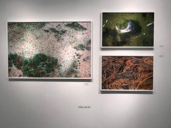 Indonesia new palm terraces (#9)