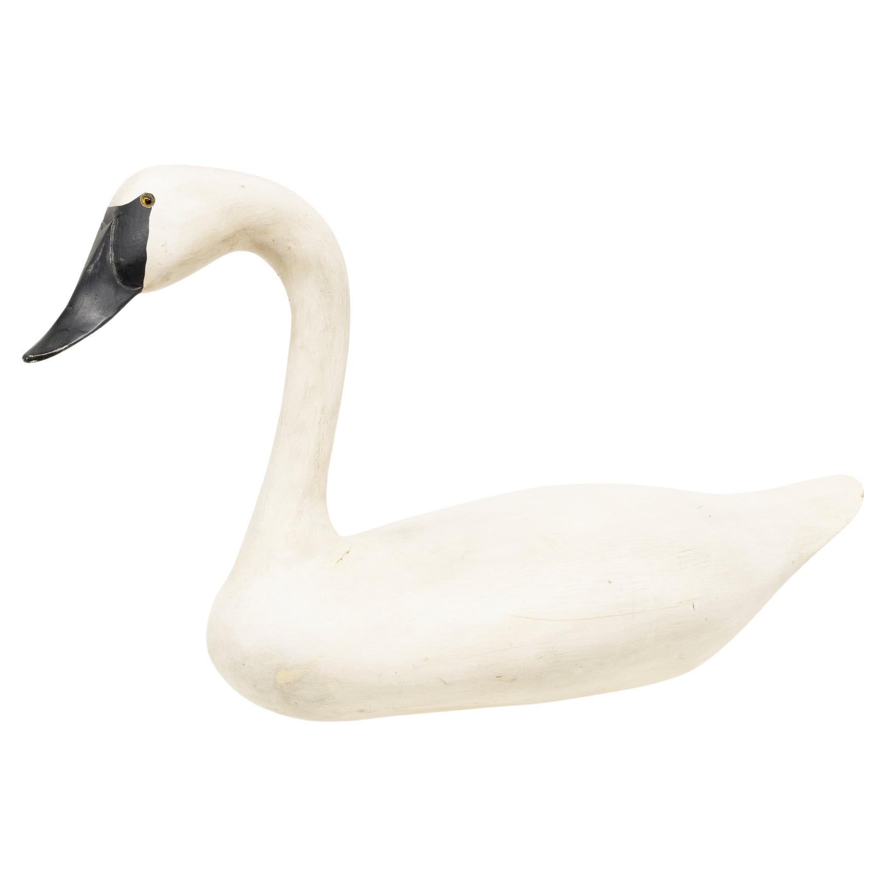 Daniel Bruffee Señuelo de cisne