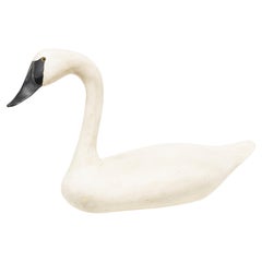 Daniel Bruffee Señuelo de cisne