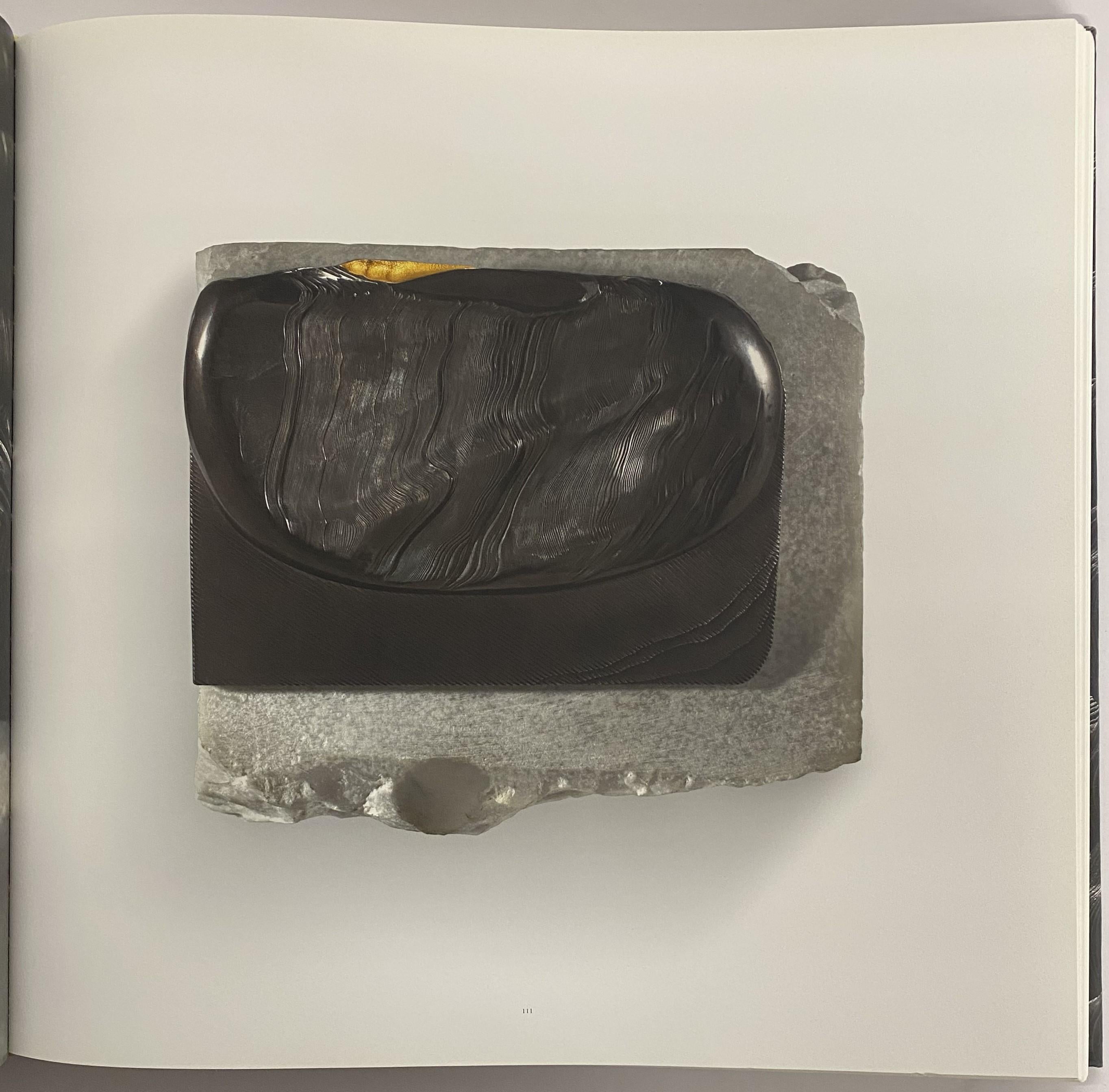 Daniel Brush (Livre) en vente 5