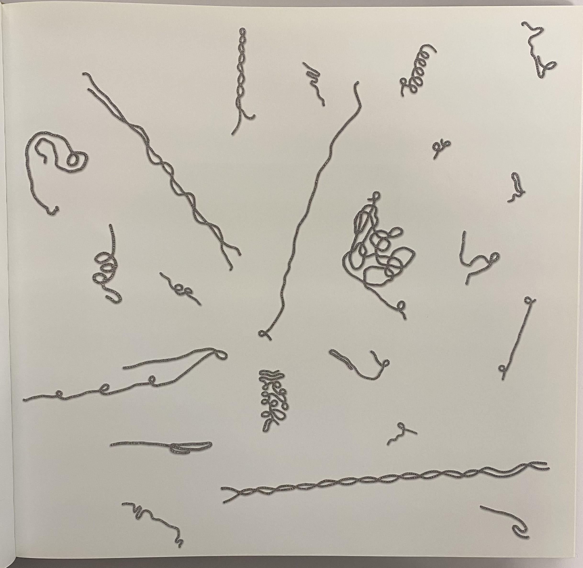 Contributions de David Revere McFadden, Brett Littman, Paul Keegan et Saskia Hamilton.
L'œuvre de Daniel Brush (né en 1947) n'entre pas tout à fait dans les catégories couramment utilisées pour décrire l'art ou l'artisanat contemporain. S'il utilise