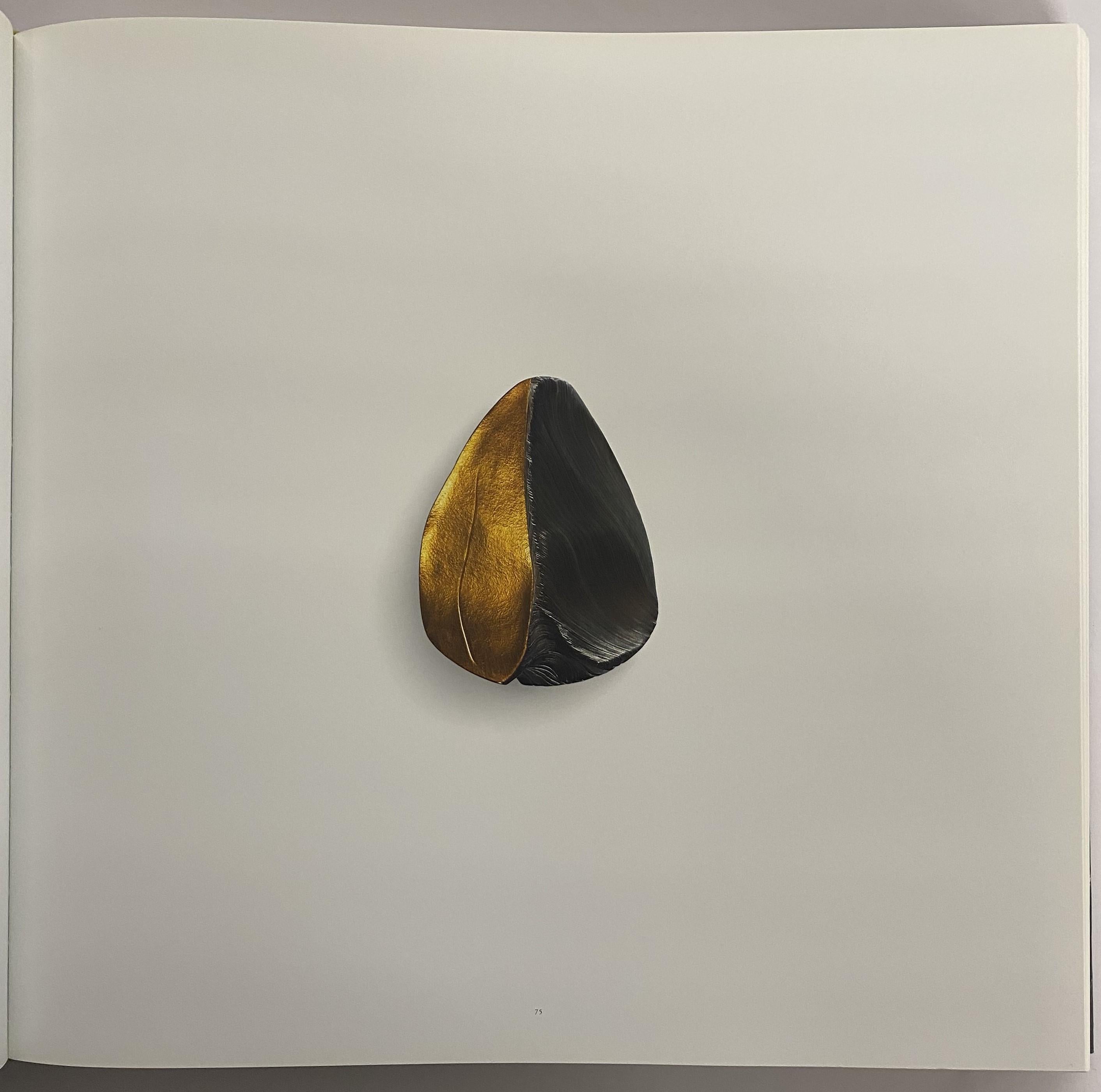 Daniel Brush (Livre) en vente 1