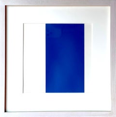 Blau, aus 1000 Platzierungen (Rubber-Stempel-Portfolio)