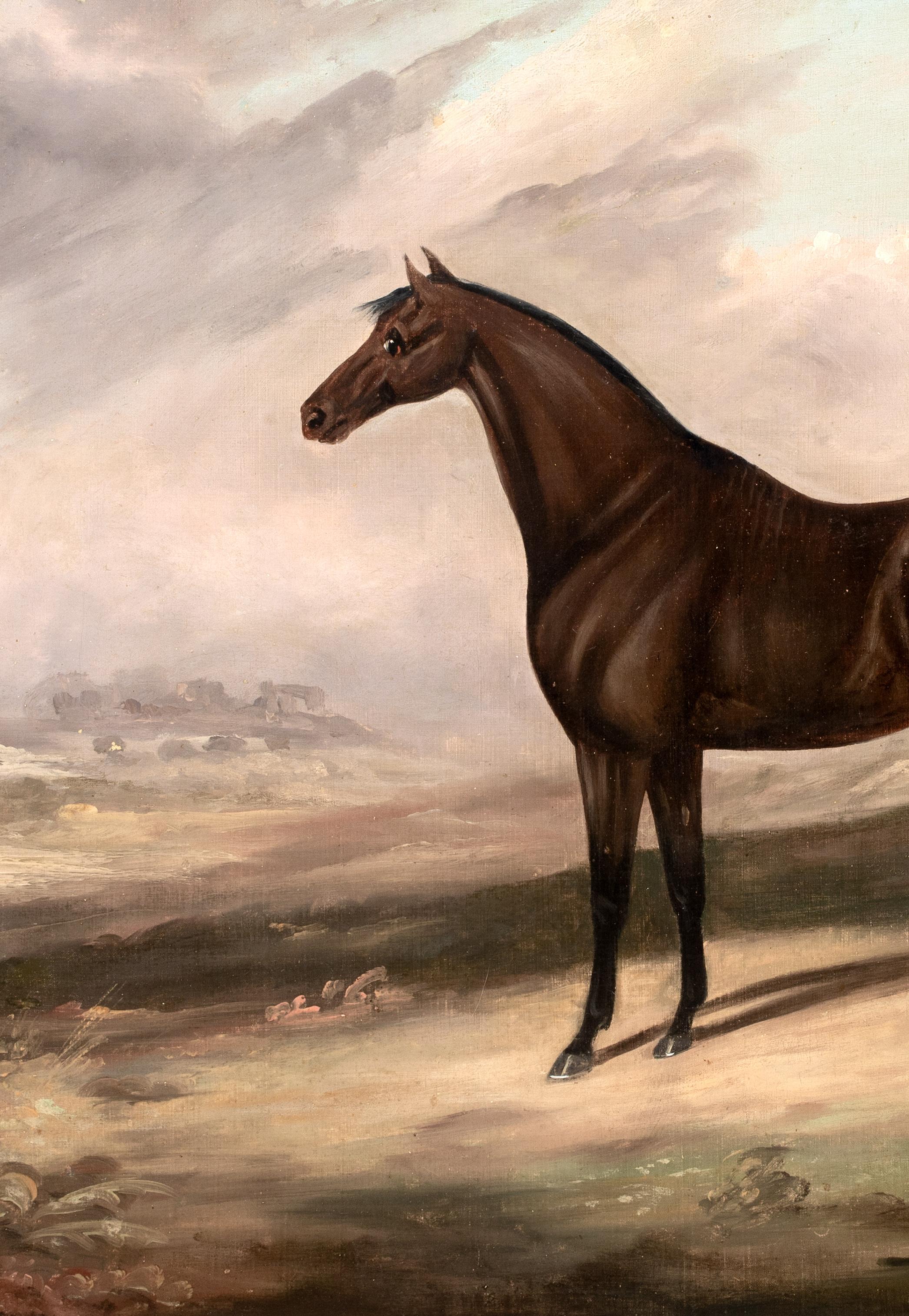 Dark Bay Hunter IN A Landscape, 19th Century  Daniel CLOWES (1774-1829)  Large 1 For Sale 6