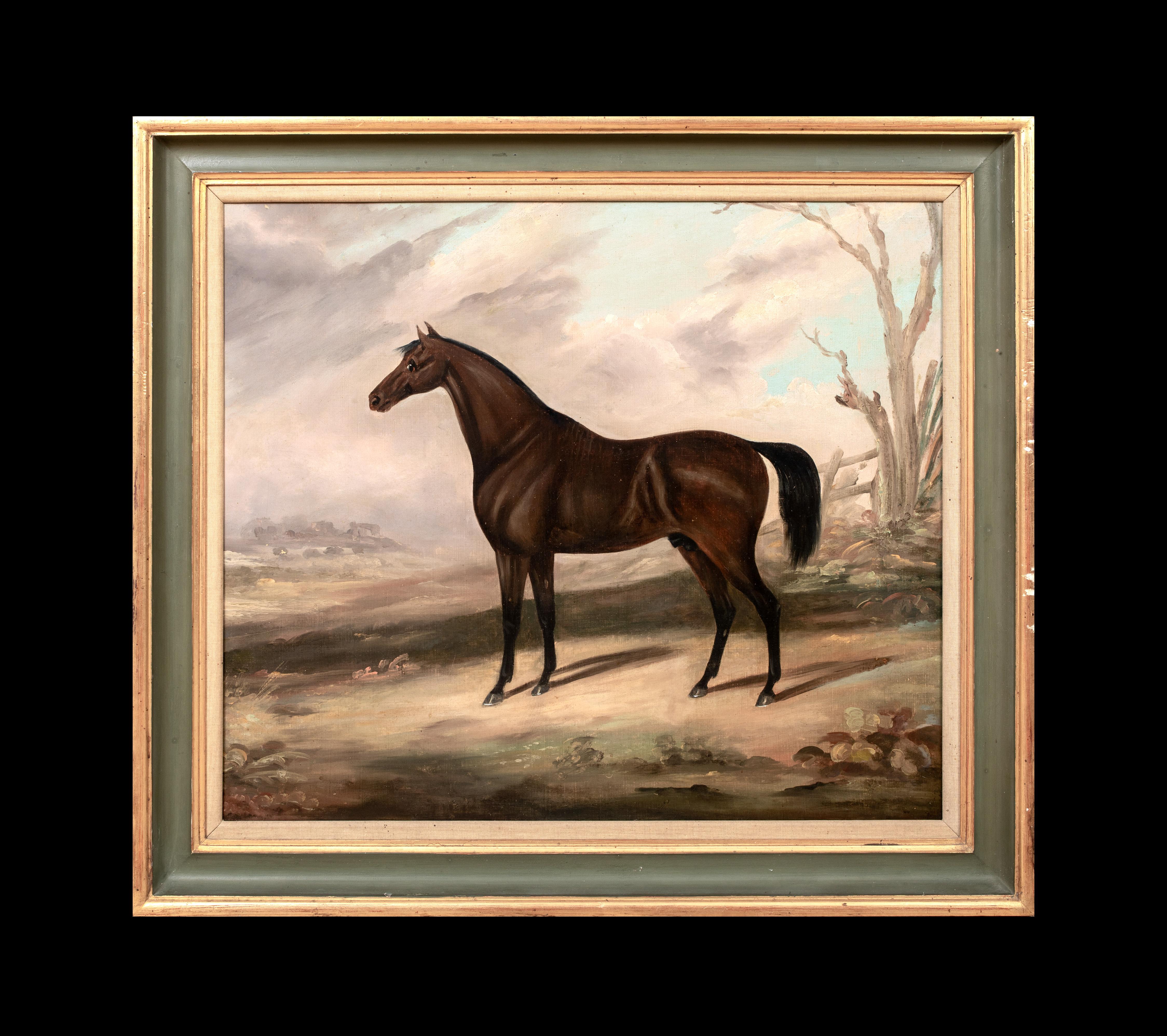 Dark Bay Hunter IN A Landscape, 19th Century  Daniel CLOWES (1774-1829)  Large 1 - Painting by Daniel Clowes