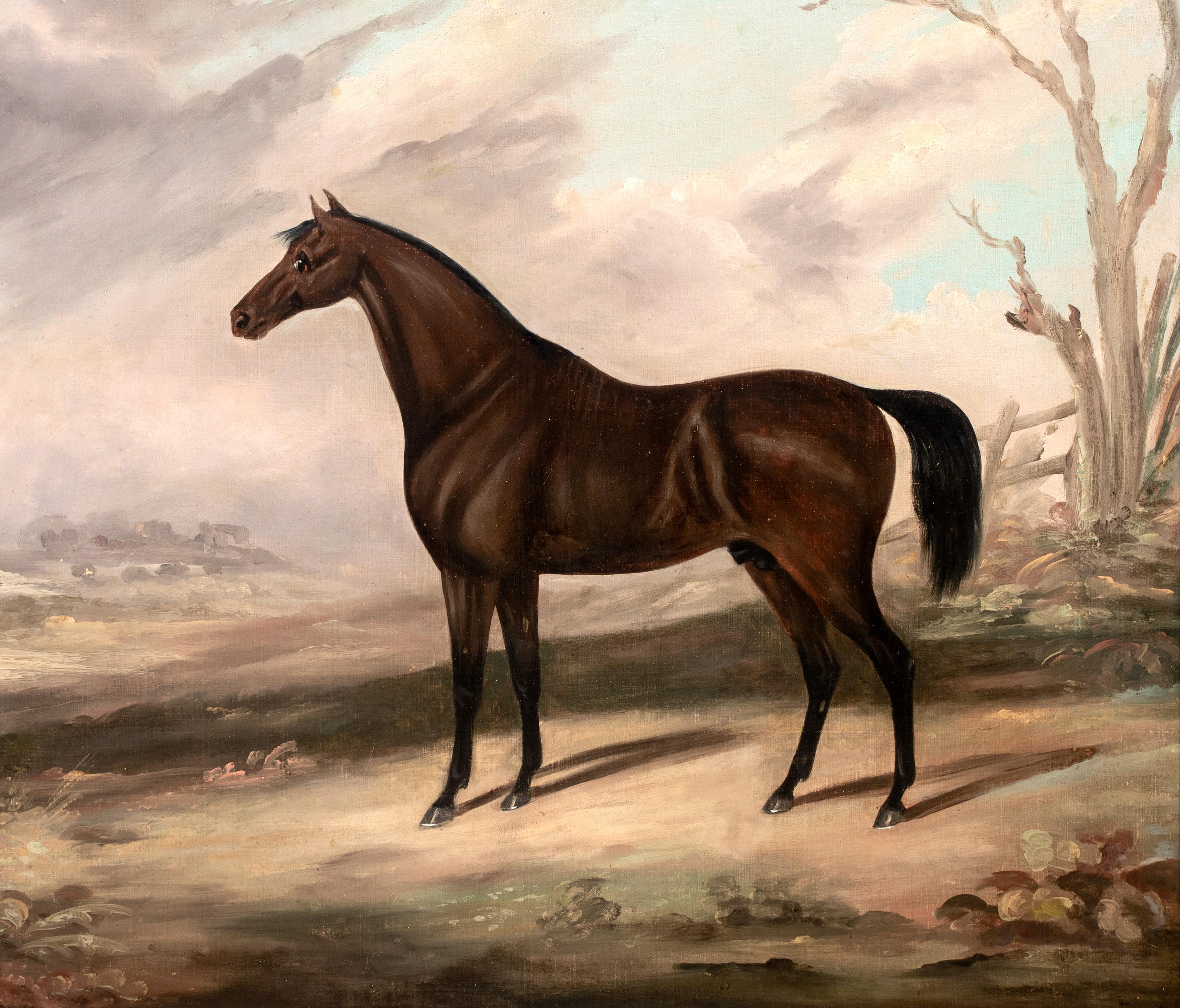 Dark Bay Hunter IN A Landscape, 19th Century  Daniel CLOWES (1774-1829)  Large 1 - Beige Animal Painting by Daniel Clowes