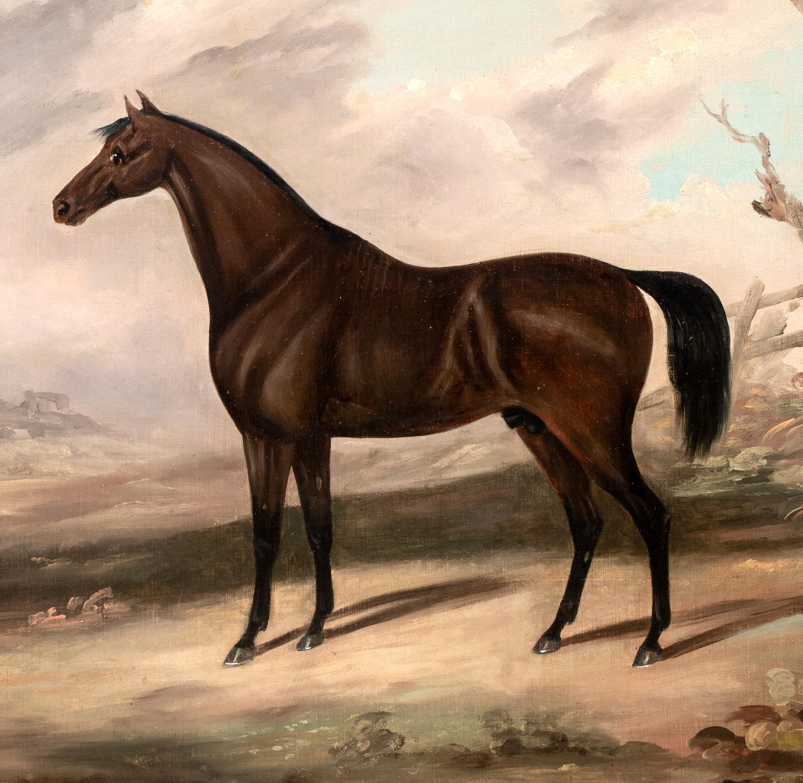Dark Bay Hunter IN A Landscape, 19th Century  Daniel CLOWES (1774-1829)  Large 1 For Sale 1