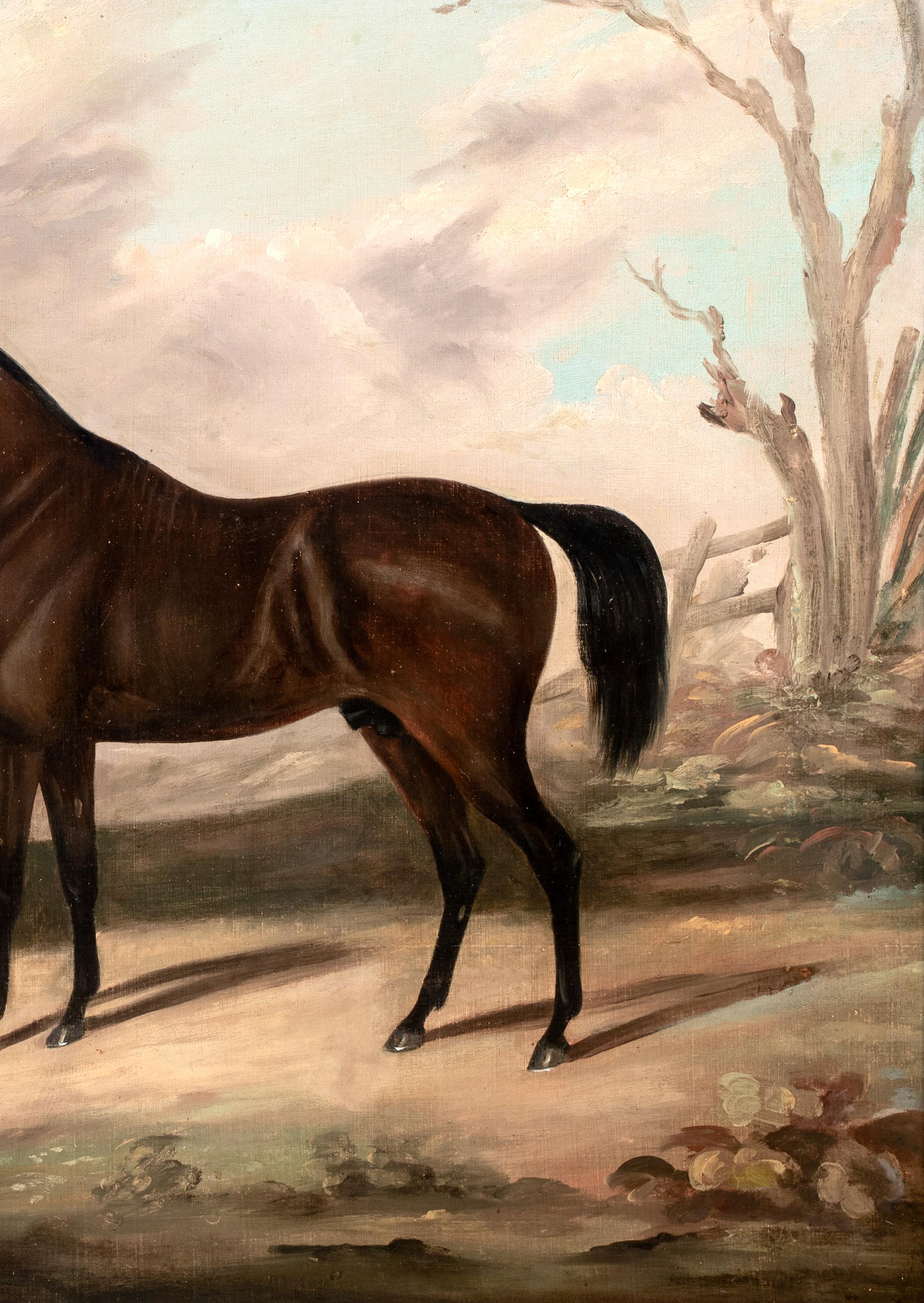 Dark Bay Hunter IN A Landscape, 19th Century  Daniel CLOWES (1774-1829)  Large 1 For Sale 2