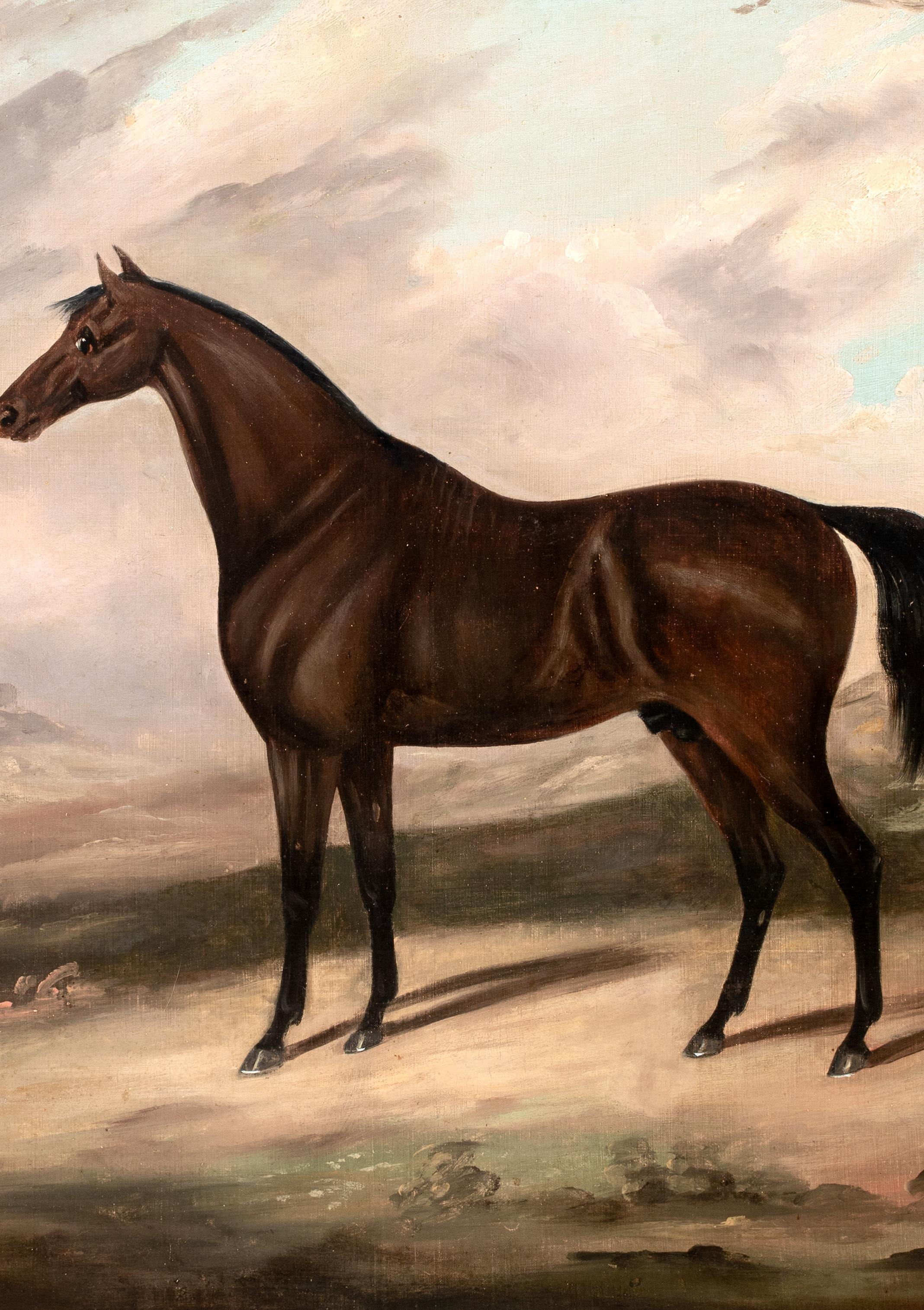 Dark Bay Hunter IN A Landscape, 19th Century  Daniel CLOWES (1774-1829)  Large 1 For Sale 3