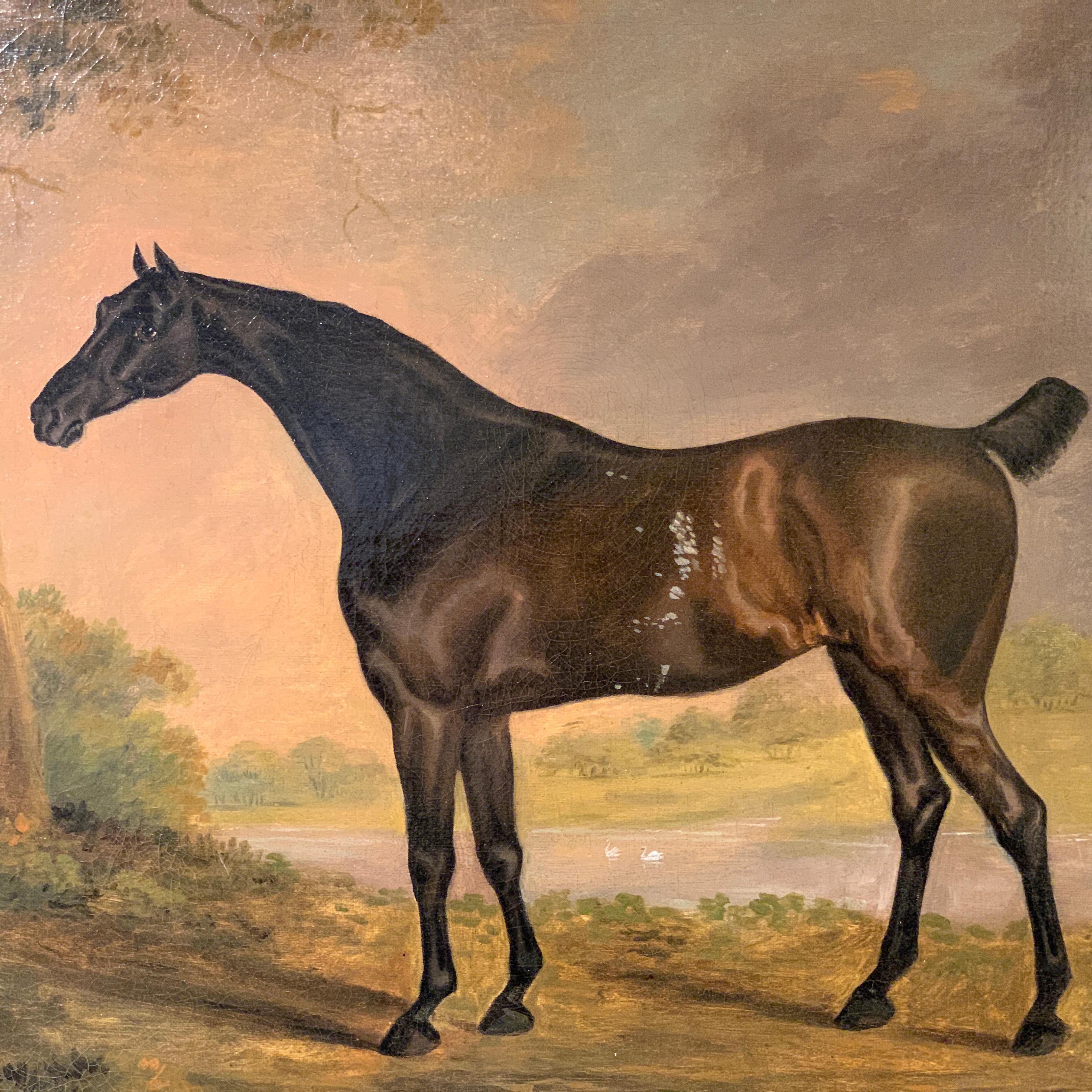 Portrait of an English Horse , a dark bay hunter an 18th C English landscape - Painting by Attributed to Daniel Clowes