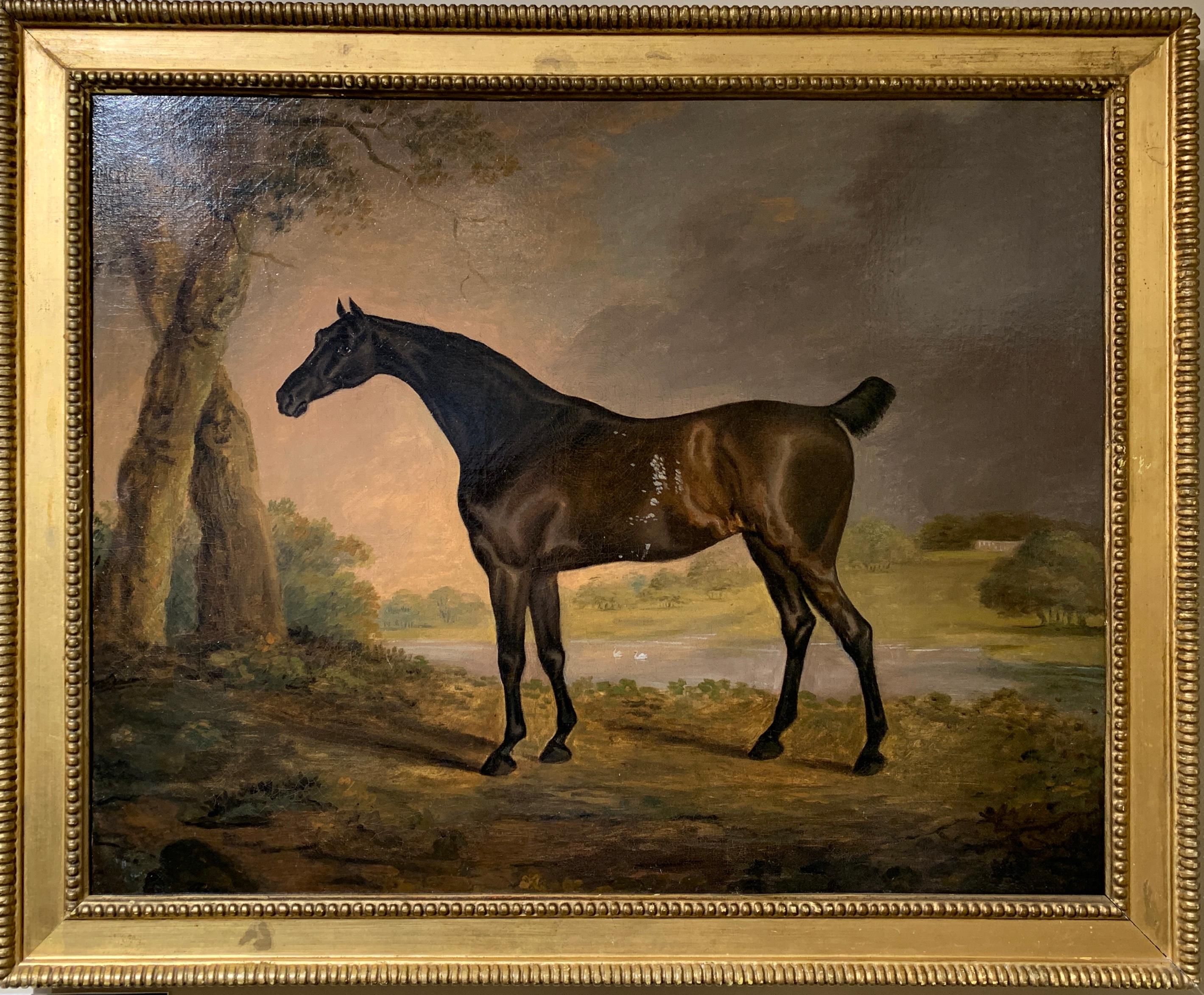 Attributed to Daniel Clowes Animal Painting - Portrait of an English Horse , a dark bay hunter an 18th C English landscape