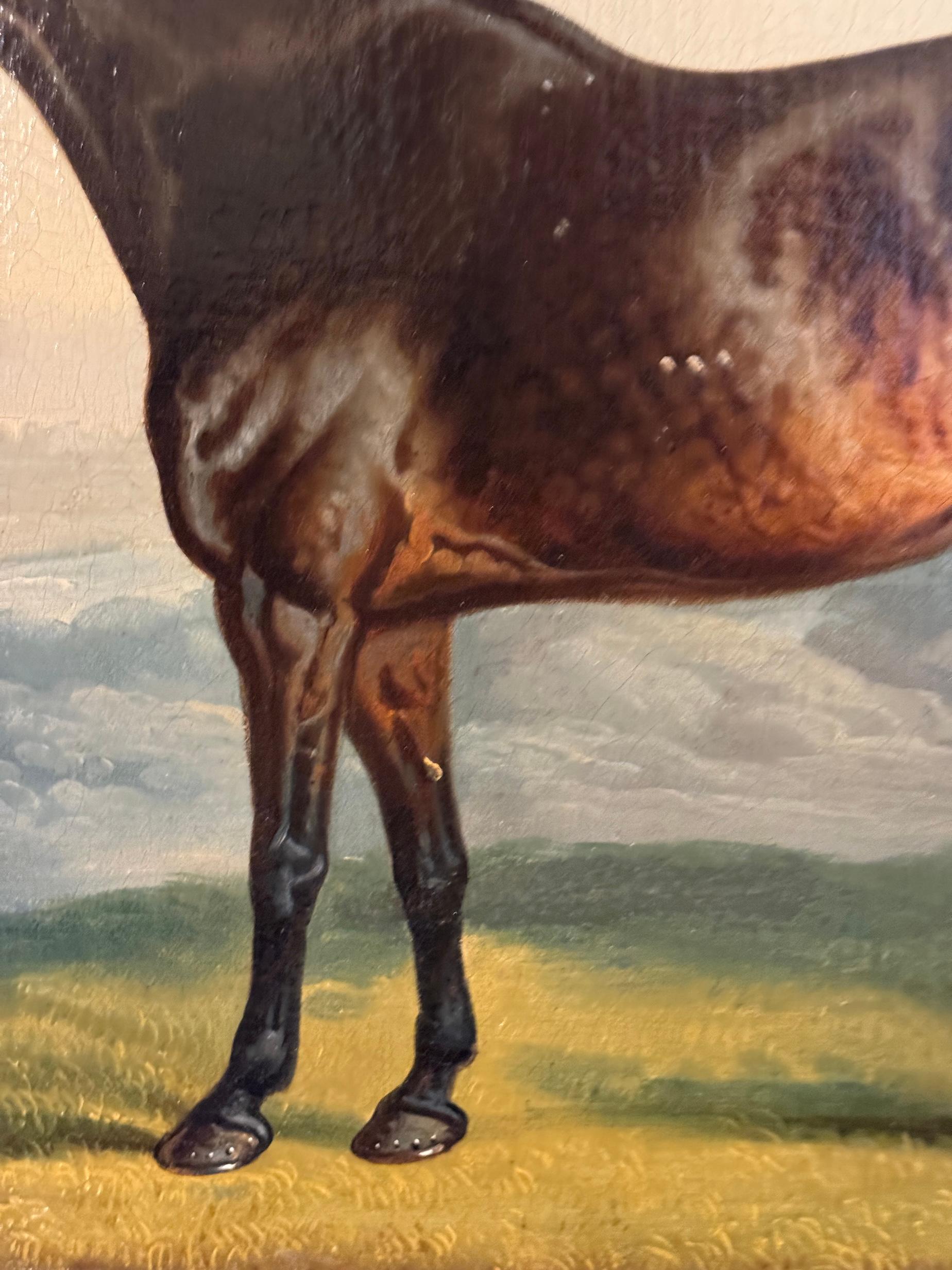 Portrait de cheval anglais du 19e siècle, style Stubbs, chasseur de baie et chien dans un paysage en vente 1