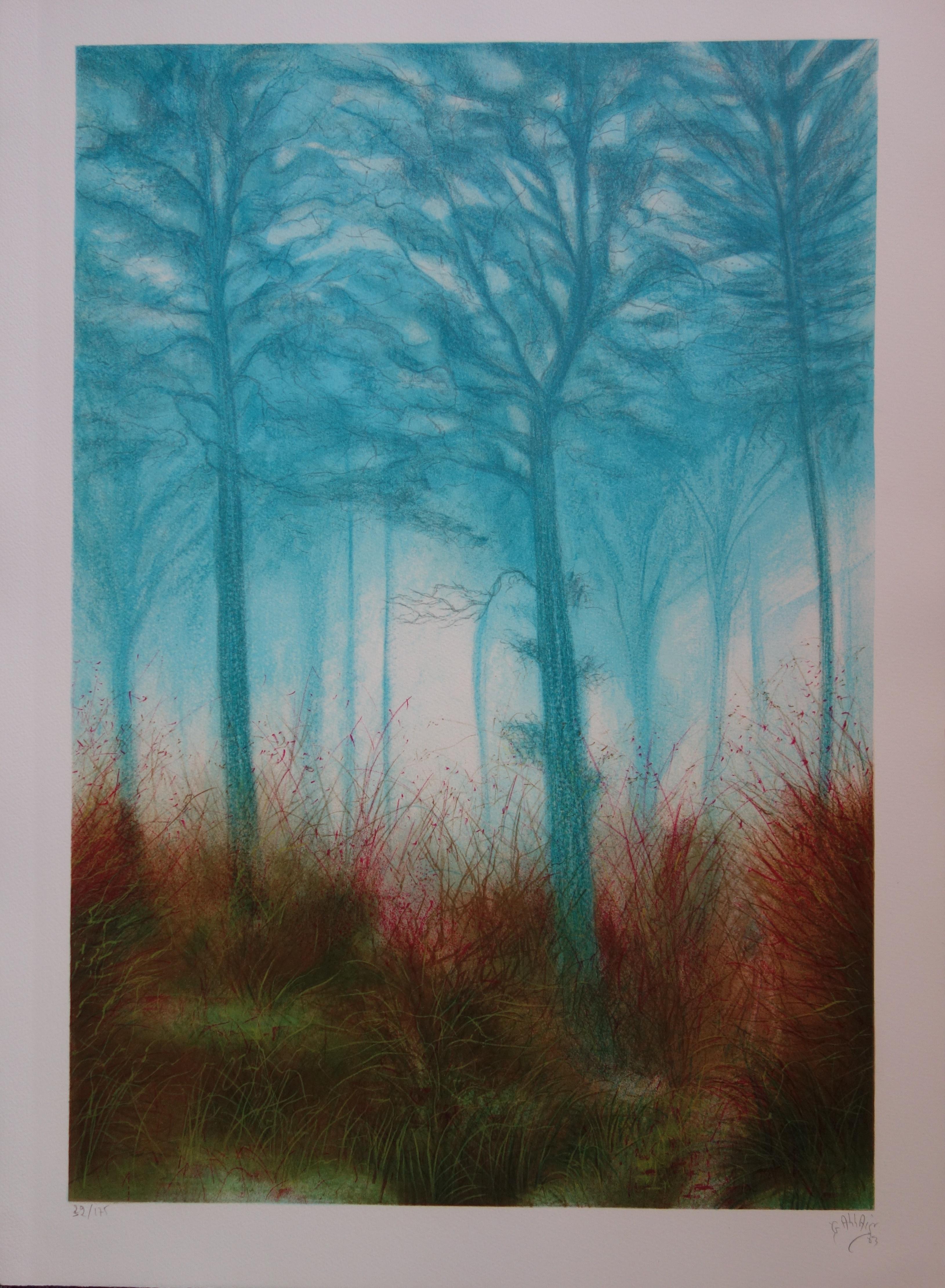 Aurora Japan - Original handsigned lithograph