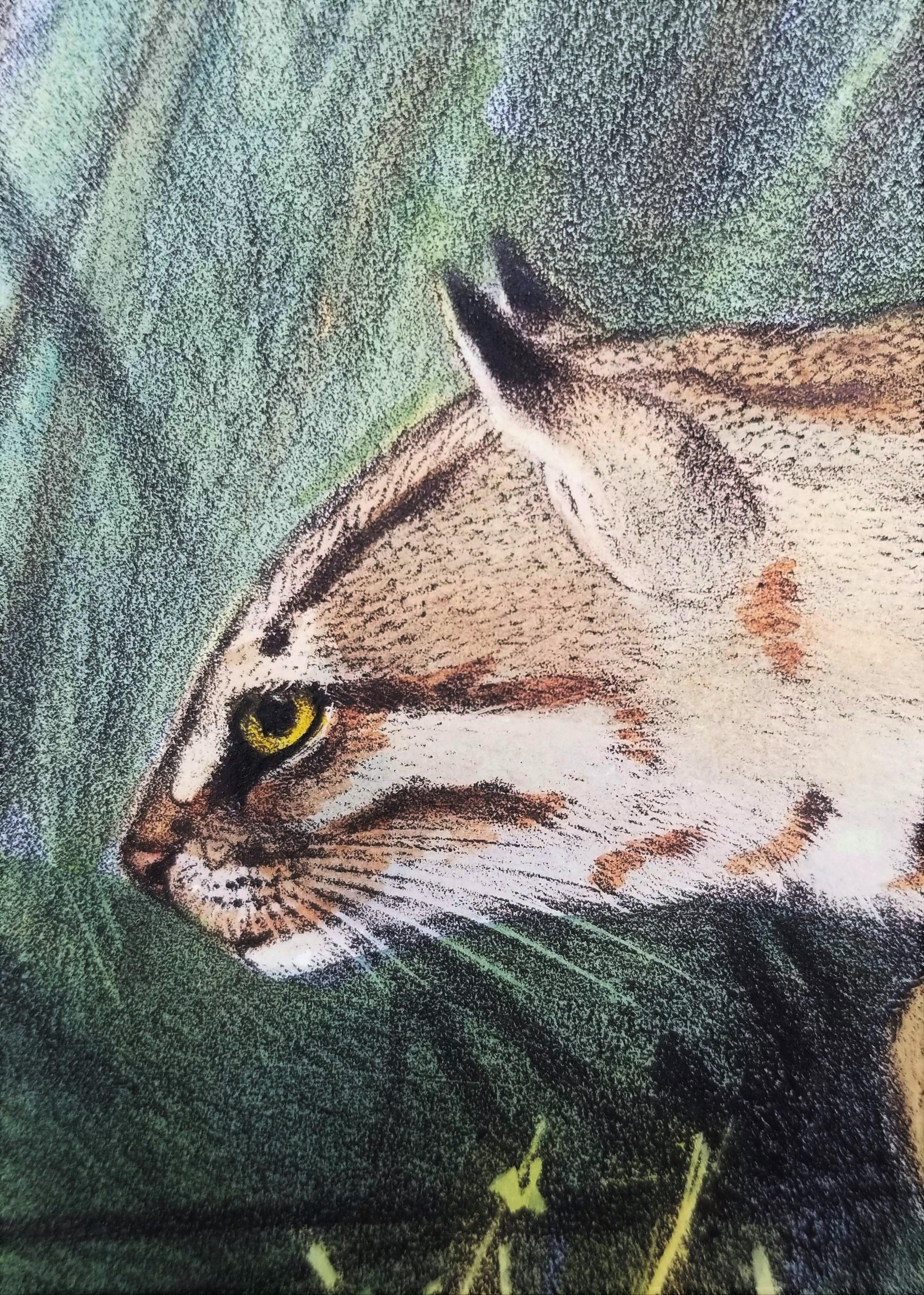 Felis Rubiginosa ( chat taillé en Russie) /// Daniel Giraud Elliot Cat Tiger Lion Art en vente 12