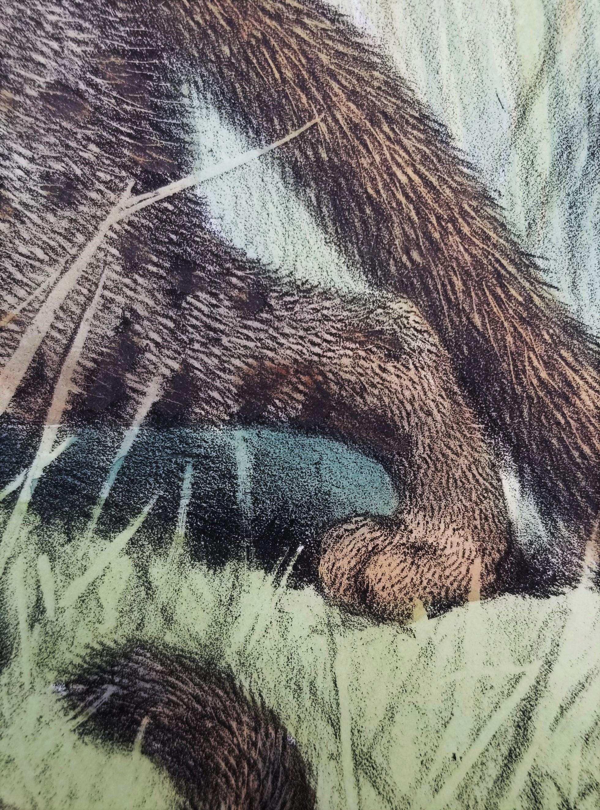 Felis Rubiginosa ( chat taillé en Russie) /// Daniel Giraud Elliot Cat Tiger Lion Art en vente 14