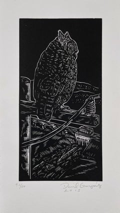 Hibou, par Daniel Gonzalez