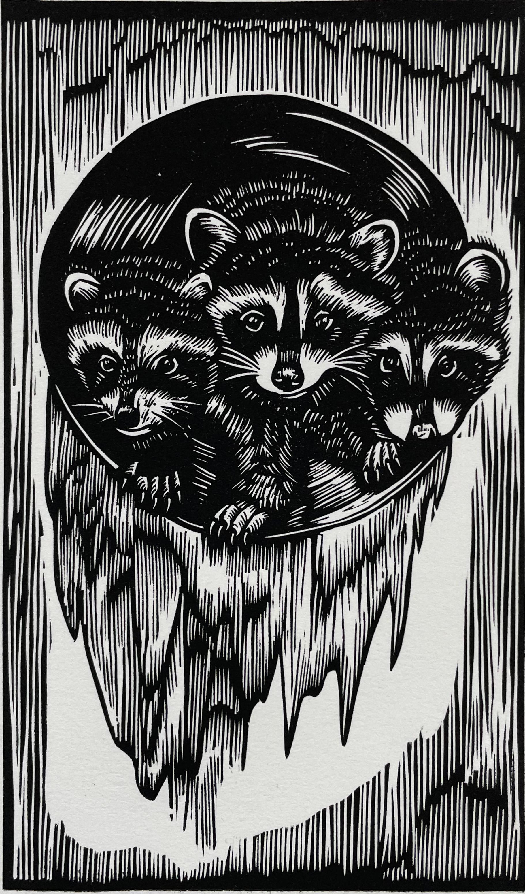 Daniel Gonzalez Portrait Print - Raccoons, by Daniel Rodriguez