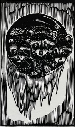 Raccoons, by Daniel Rodriguez