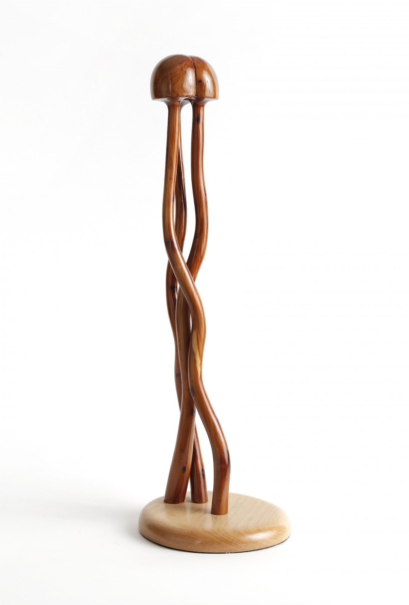 Escultura Medusa de Madera, Madera de Cedro sobre Arce, Artista Contemporáneo - Sculpture de Daniel Grantham