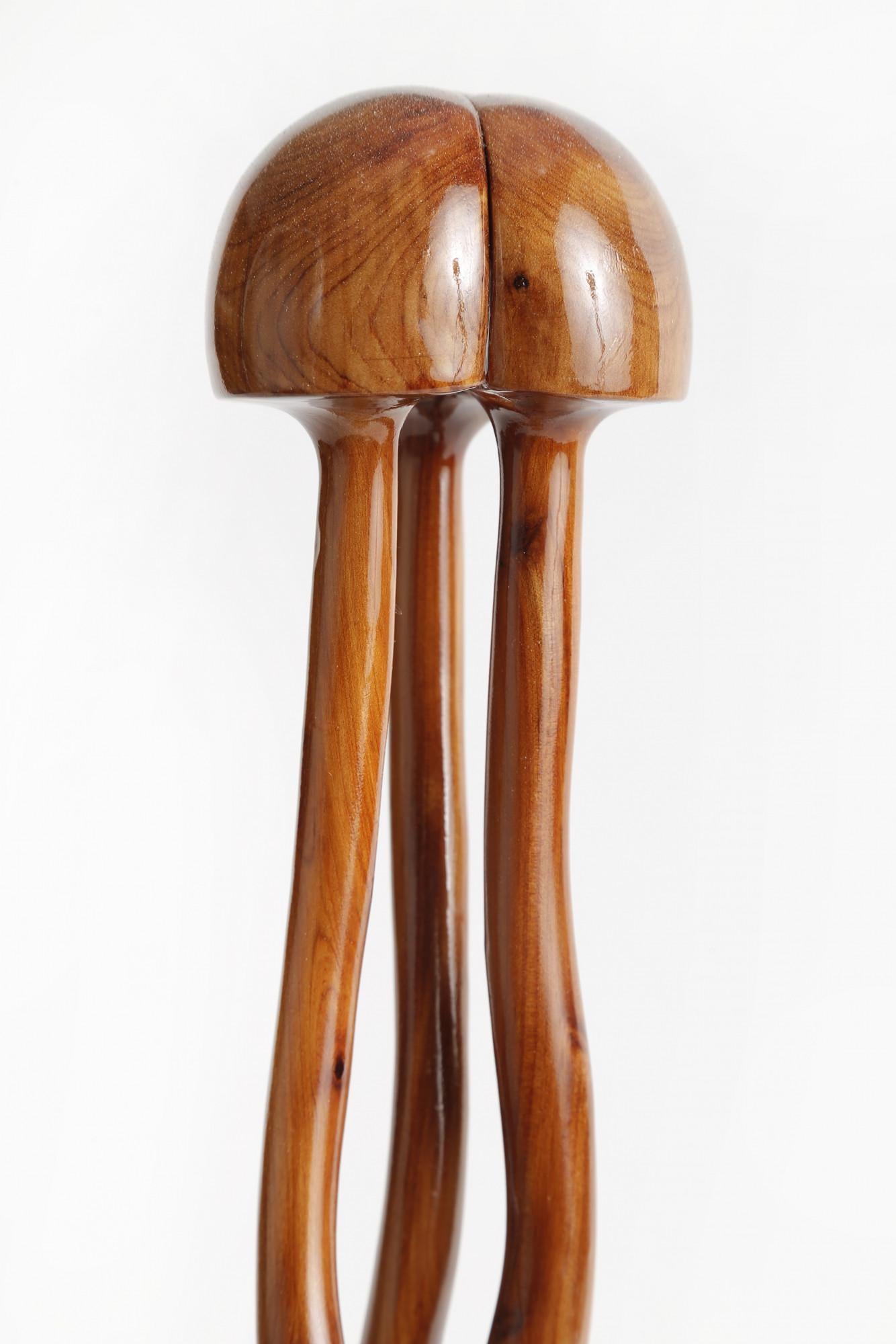 Escultura Medusa de Madera, Madera de Cedro sobre Arce, Artista Contemporáneo - Figurative Sculpture Marrón de Daniel Grantham