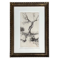 Daniel Graves "Olive Tree" Etching Signed, Numbered 10/100 on Paper and Framed