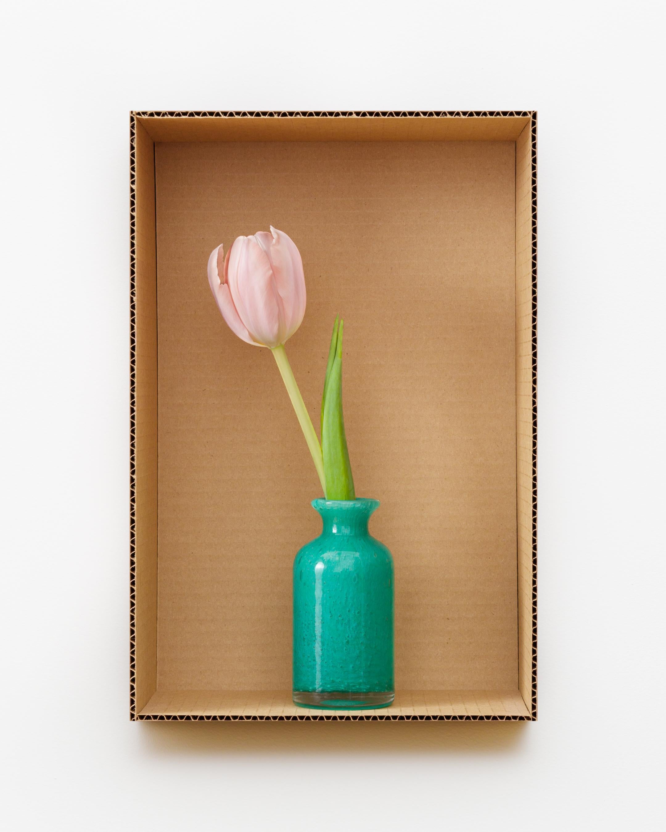 Tulpen- Thijs-Stiefel (Miami Grün) – Photograph von Daniel Handal