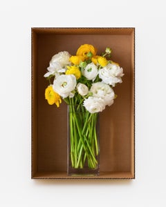 White & Yellow Ranunculus (Clear)