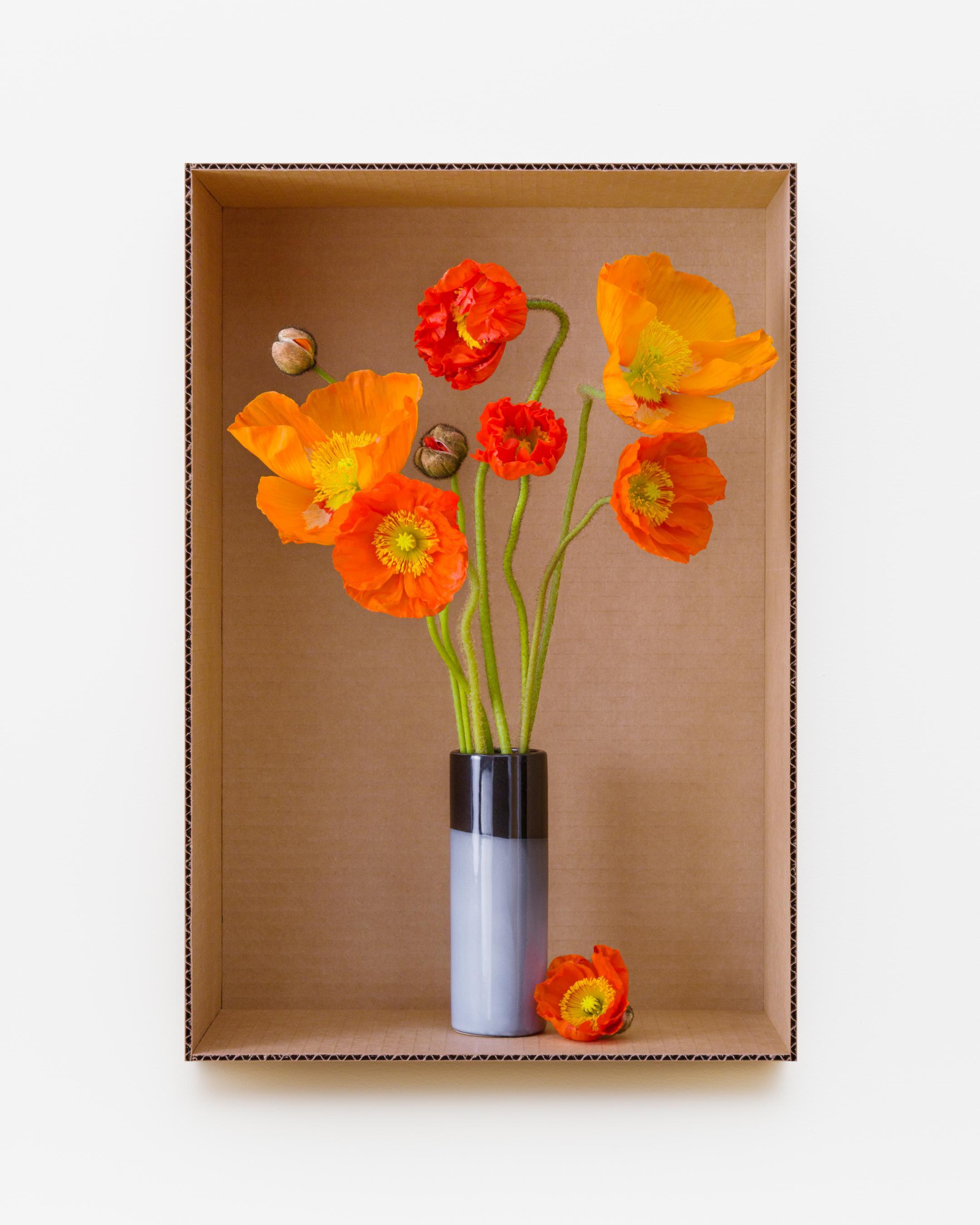 Daniel Handal Still-Life Photograph - Wonderland Orange Poppy (Mid-Fire Black + Gray)