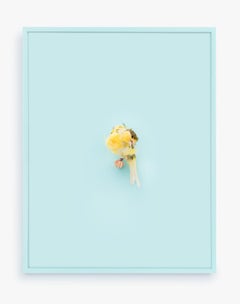 Yellow Parisian Frilled Canary (Baby Blue)