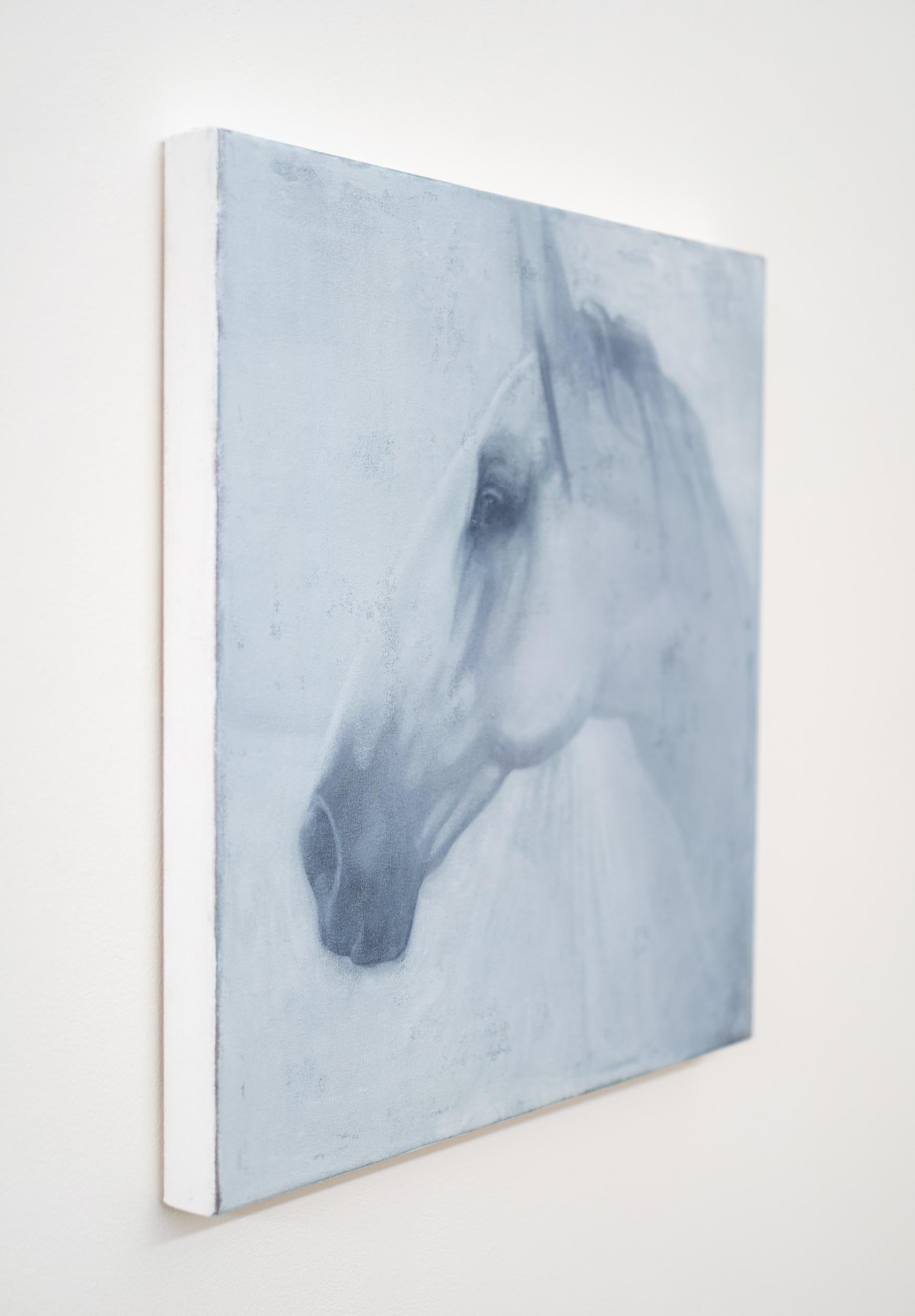 Caballo Blanco - contemporáneo, figurativo, animal, retrato, óleo sobre lienzo - Painting de Daniel Hughes