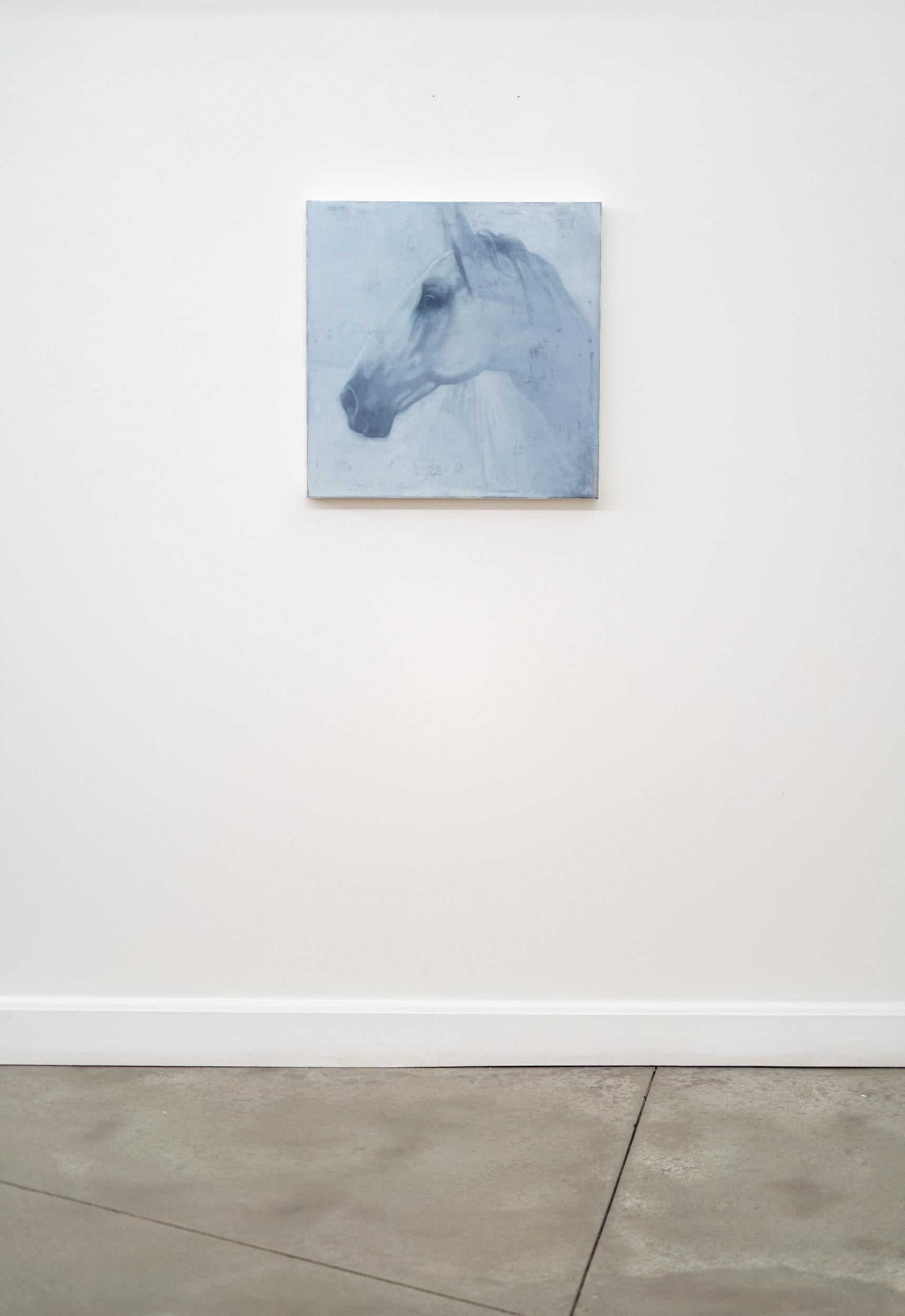 Caballo Blanco - contemporáneo, figurativo, animal, retrato, óleo sobre lienzo - Portrait Painting Gris de Daniel Hughes