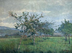 Paesaggio con frutteto in piena fioritura