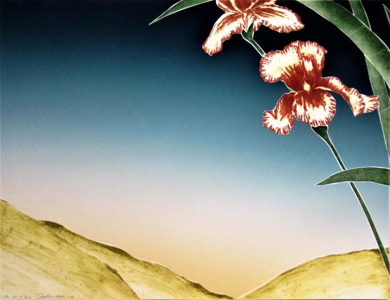 Daniel Joshua Goldstein Iris at Dusk For Sale at 1stDibs